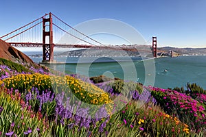 Golden Gate Bridge San Francisco purple flowers California