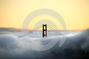 Golden Gate Bridge Tower and Fog