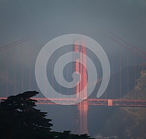 The Golden Gate emerges at sunrise time from the fog in San Francisco Bay in summer