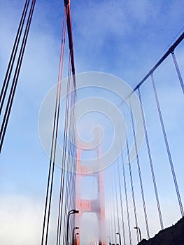 golden gate glow.