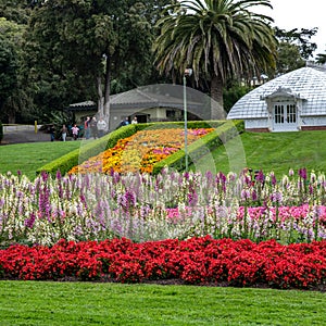 Golden Gate park conservatory and flower gardens