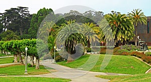 Golden Gate Park photo