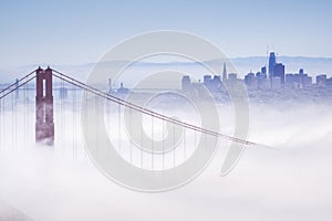 Golden Gate and the San Francisco bay covered by fog, the financial district skyline in the background, the Salesforce tower