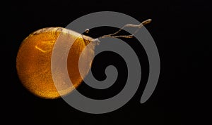 Golden gel on black background