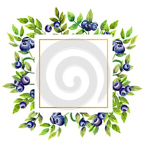 Golden geometric frame with ripe blueberries on white isolated background. Watercolor illustration