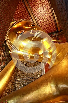 The Golden Giant Reclining Buddha (Sleep Buddha) in Wat Pho Temple, Bangkok, Thailand