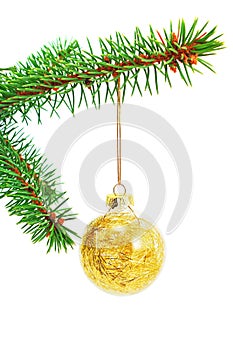 Golden glitter Christmas bauble on a spruce branch