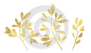 Golden glitter floral elements. Set of ficus branches and leaves in shiny foil. Botanical floral illustration for modern