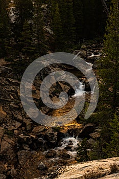 Golden Glow At Sunset On Conness Creek At The Glen Aulin High Sierra Camp