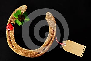 Golden Good Luck Horseshoe