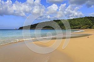 Golden gorgeous Anse de la Perle Beach in Caribbean Guadeloupe