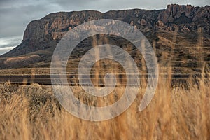 Golden Grasses Along The Road Side In Big Bend