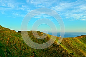 Golden grassy hill with grazing cow against a blue sea and sky