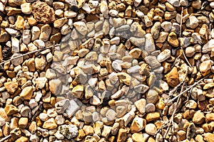 Golden gravel of small beige stones