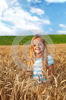 Golden hair girl on wheat field