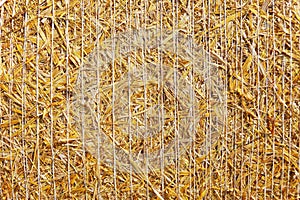 Golden hay bale close-up