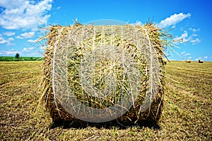 Golden hay bale after harvest