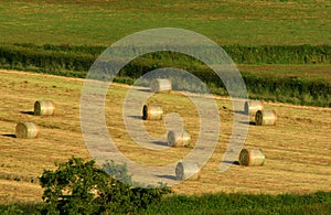 Golden Hay Bales