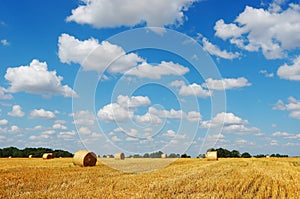 Golden hay bales against a picturesque cloudy sky