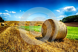 Golden hay bales at agricultural field