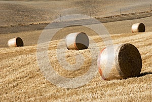 Golden hay bales