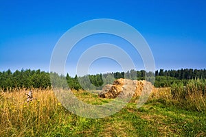 Golden hay bales Farm