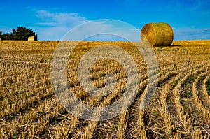 Golden hay bales sitting in the autumn sun