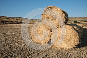 Golden Hey bales after harvesting