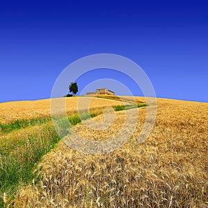 The hill of loneliness