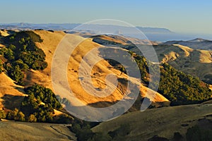 Golden Hills of California photo