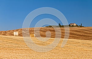 Golden hills Tuscany