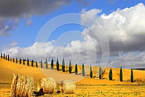 Golden hills of Tuscany.