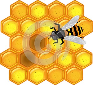 Golden honeycomb with bee