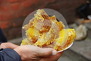 Golden honeycomb with honey