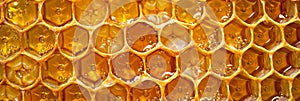 Golden Honeycomb with honey close up. Natural beeswax pattern. Texture. Concept of apiculture, natural design