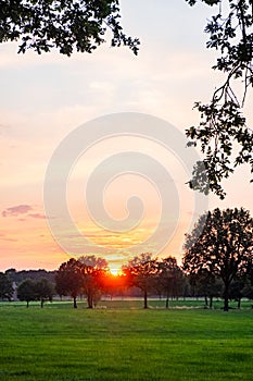 Golden Horizon: Vibrant Sunset Over Rural Treetops