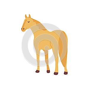 Golden Horse. Elegant animal herbivore. Vector hand drawn