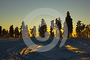 golden hour in a finnish skiing area