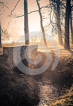 Golden hour image of a rural scene