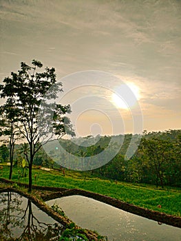 Golden hour morning view from the Indonesian countryside
