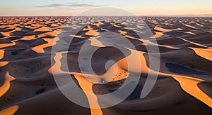 Golden Hour Over Desert Dunes