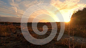 Golden Hour Over Untamed Meadow: Aerial View