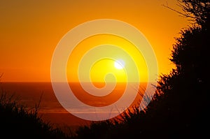 Golden Hour Sunset at Piha Beach / New Zealand