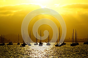 The Golden Hour at San Diego Harbor