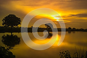 Golden hour during sunrise over the lake with trees in Gresik, East Java. Indonesia.