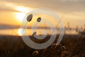 Golden hour sunrise over Waihi Beach