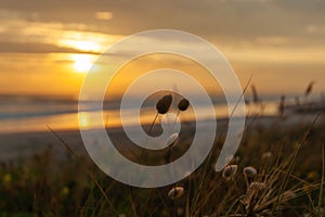 Golden hour sunrise over Waihi Beach