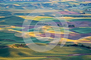 Golden hour sunset aerial view of The Palouse region of Eastern Washington State, as seen from Steptoe Butte State Park, of