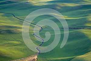 Golden hour sunset aerial view of The Palouse region of Eastern Washington State, as seen from Steptoe Butte State Park, of green