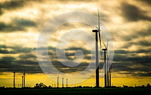 Golden Hour Sunset with Wind Turbines creating clean energy for West Texas